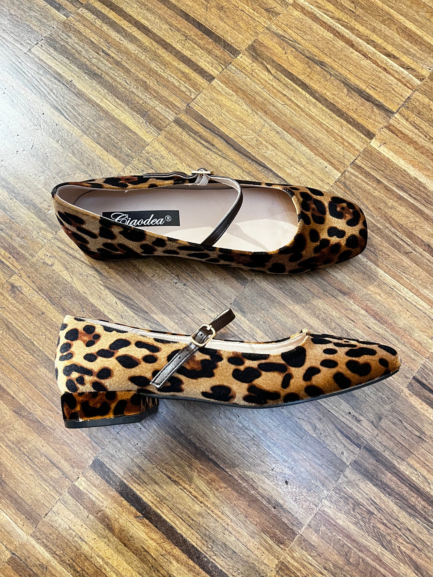 Ballerina Valerie - Galleria 77